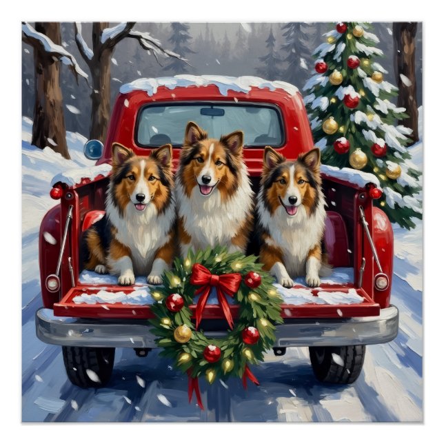Póster Shetland Sheepdog Christmas Red Truck Holiday (Frente)