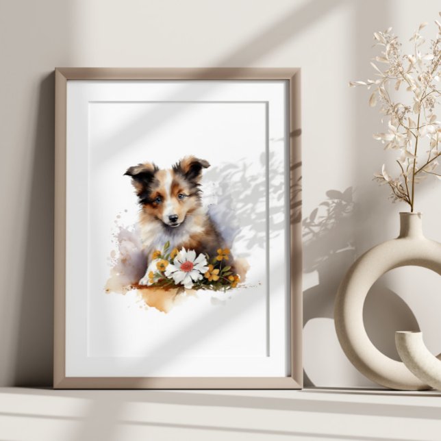 Poster Shetland Sheepdog Puppy Pet Watercolor Fllower (Criador carregado)