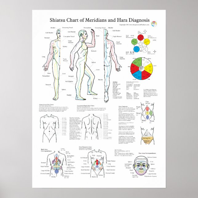 Poster Shiatsu Acupuntura Meridianos e Hara Diagnostics (Frente)