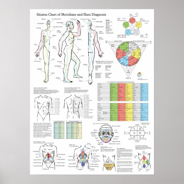 Poster Shiatsu Acupuntura Meridians Hara Diagnostics (Frente)