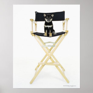 Póster Shiba Inu cão na cadeira do diretor