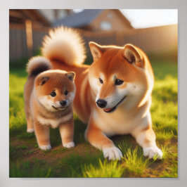 Poster Shiba Inu mãe e seu filhote