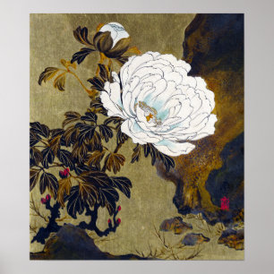 Poster Shibata Zeshin Peonies