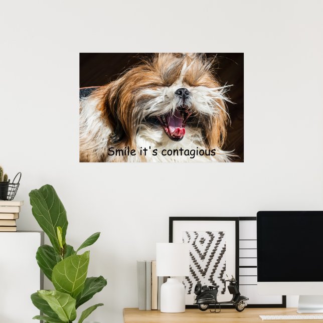 Poster Shih tzu bocejando sorriso texto personalizar (Escritório em casa)