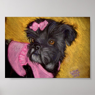 Póster Shih-tzu com arco cor-de-rosa
