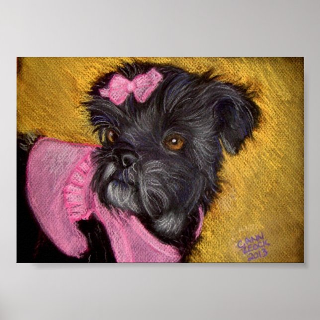 Póster Shih-tzu com Arco rosa (Frente)