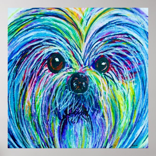 Póster Shih Tzu - Cores Intensas (Frente)