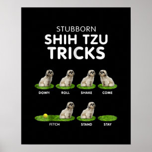 Poster Shih Tzu Lover   Engraçado Shih Tzu Trick Amor