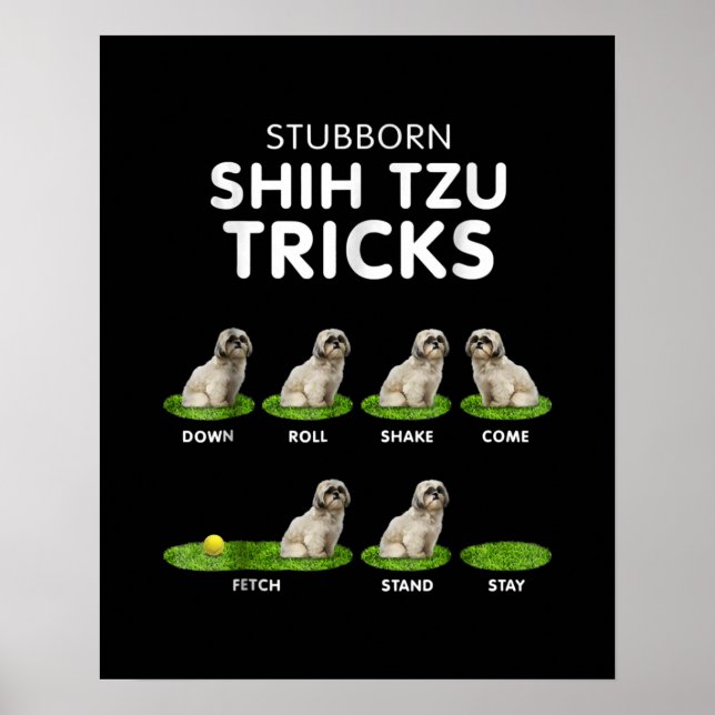 Poster Shih Tzu Lover | Engraçado Shih Tzu Trick Amor (Frente)