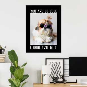 Poster Shih Tzu Não é divertido cachorro fofo e legal Tex