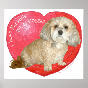 Póster Shih Tzu / Poodle Mix Dia de os namorados