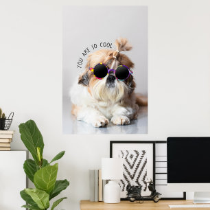 Poster Shih Tzu Você é tão Legal e divertido Óculos d