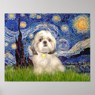 Póster Shih Tzu (Y) - Starry Night