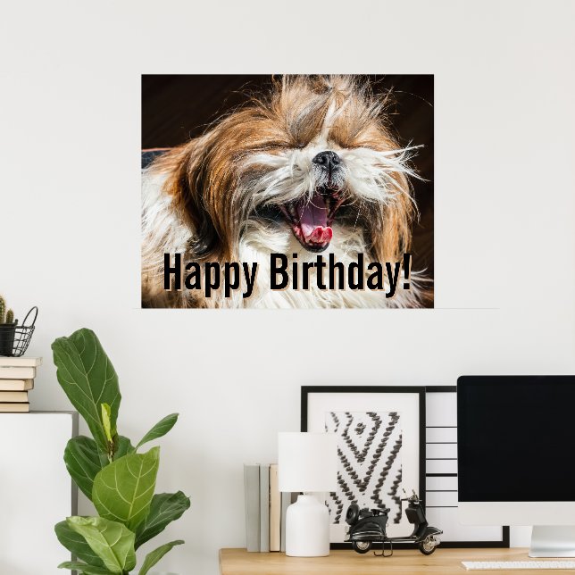 Poster Shih tzu yawning laughing funny Happy birthday  (Escritório em casa)
