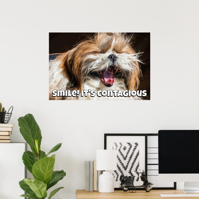 Poster Shih tzu yawning laughing smile text customize (Escritório em casa)