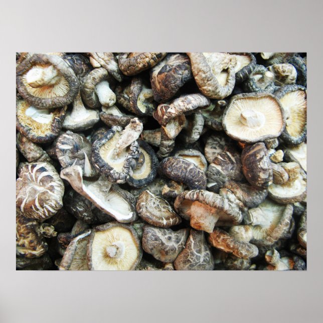 Poster Shiitake Mushroom (Frente)
