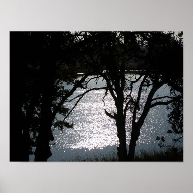 Poster "Shimmering Silhouettes" (Frente)