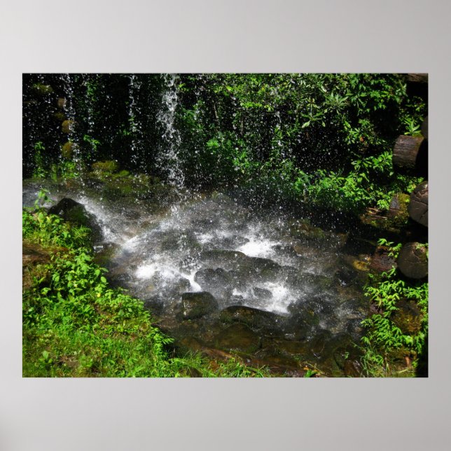 Poster Shimmering Waters (Frente)