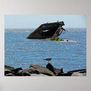 Póster Shipwreck de Cape May