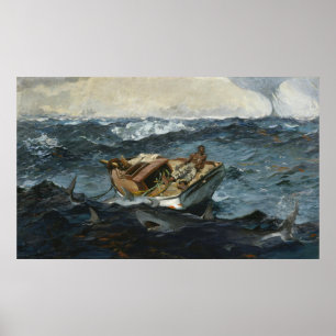 Poster Shipwreck do tubarão