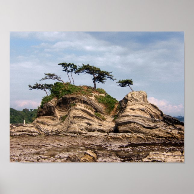 Póster Shiroyama (Frente)