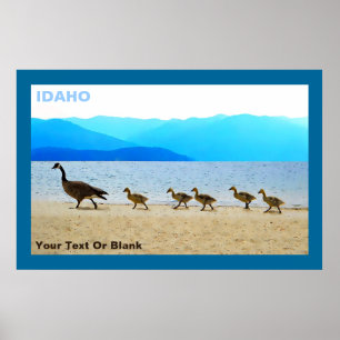 Poster Shore Patrol Canada Geese