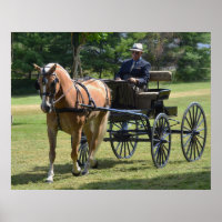 Show de Cavalos Condutores de Carruagems de Hill W