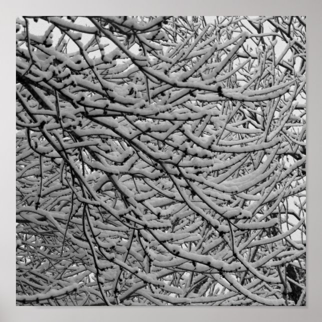 Póster Shreveport Snowfall (Frente)