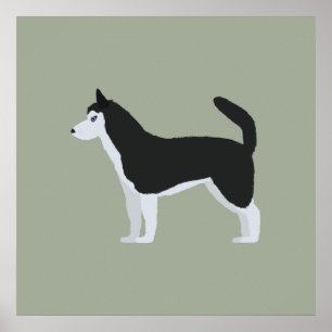 Poster Siberian Husky
