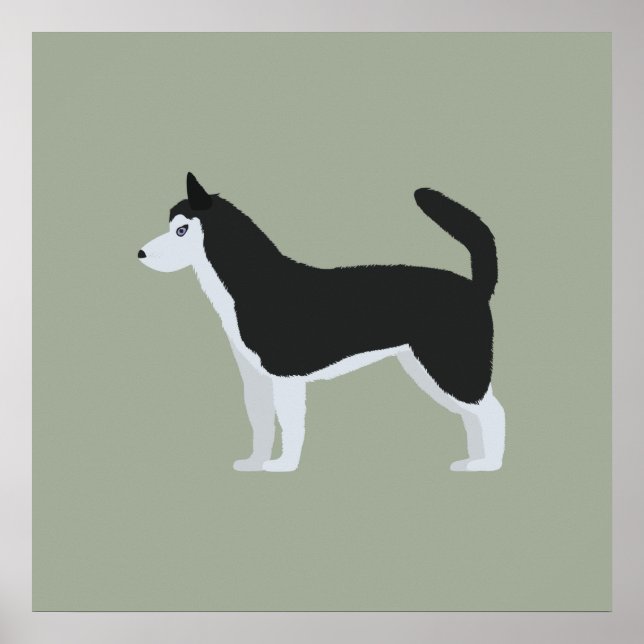 Poster Siberian Husky (Frente)