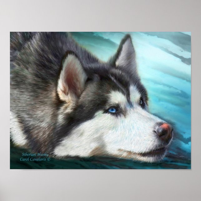 Póster Siberian Husky Art Poster/Impressão (Frente)