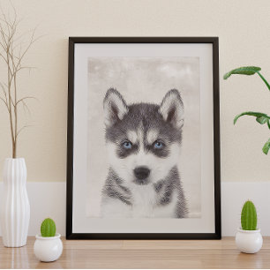 Póster Siberian Husky Poster