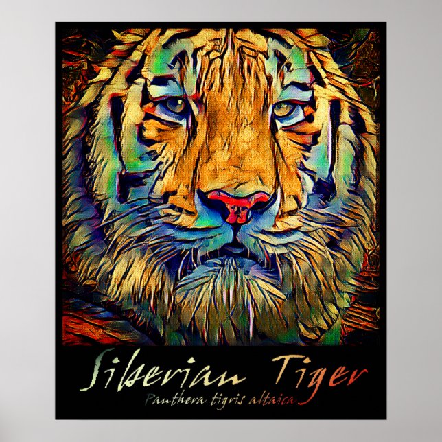 Poster Siberian Tiger [Poster de Arte] (Frente)