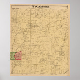 Póster Sicômoro, Ohio