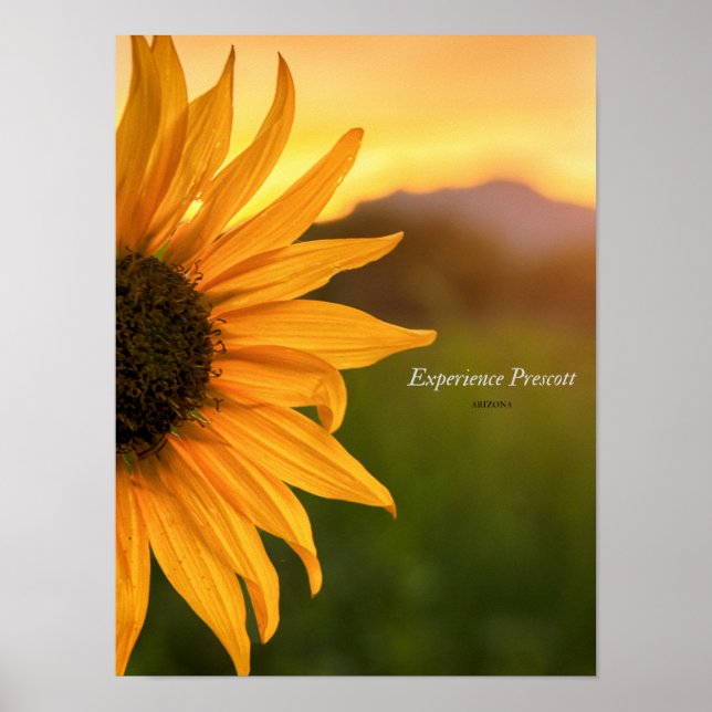 Poster Sideways Glance-Experience Prescott (Frente)