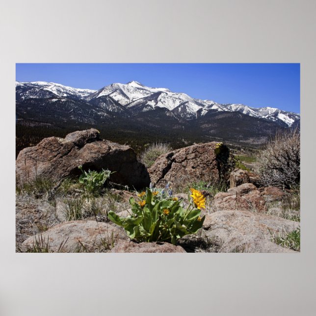 Poster Sierra Mountain View (Frente)