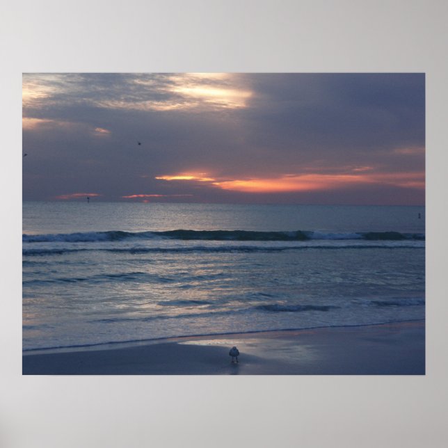 Poster Siesta Key Sunsets (Frente)