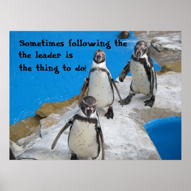 Póster Siga o líder (Frente)