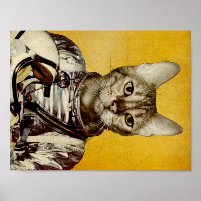 Poster Siga seus sonhos (Frente)