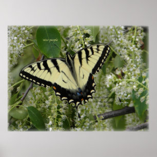 Póster SIGH_ets_loa_P5140161g