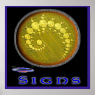 Póster sighnsposter
