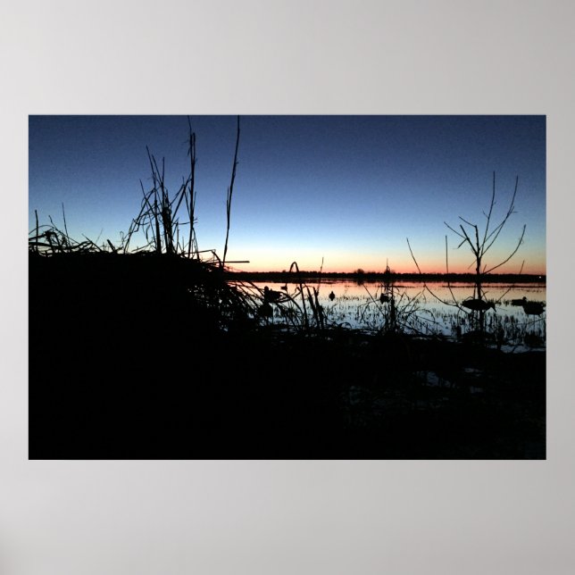 Póster Silêncio no cego de Duck do Arkansas (Frente)