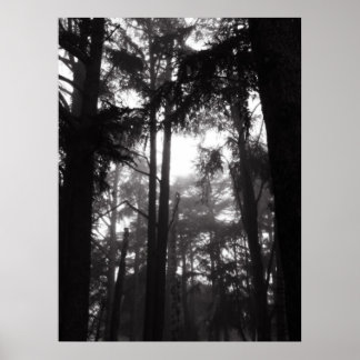 Poster - Silêncio prateado