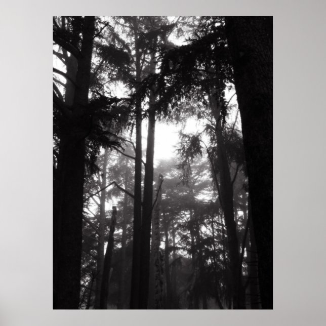 Poster - Silêncio prateado (Frente)