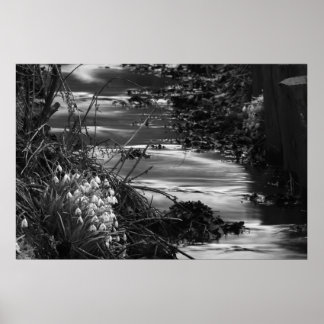 Póster Silent creek