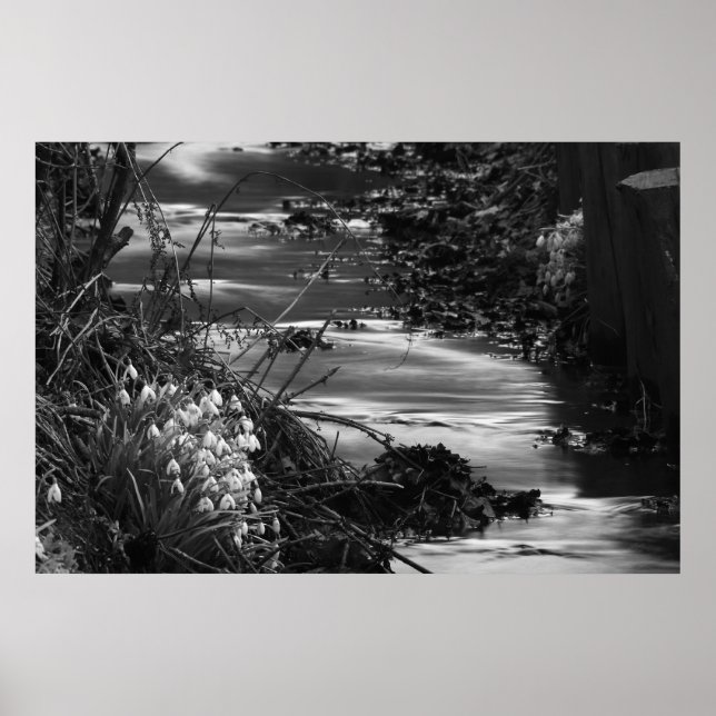 Póster Silent creek (Frente)