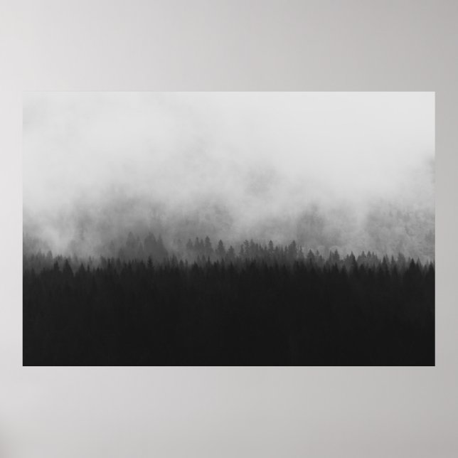 POSTER SILHOUETTE OF TREES WITH FOGS (Frente)