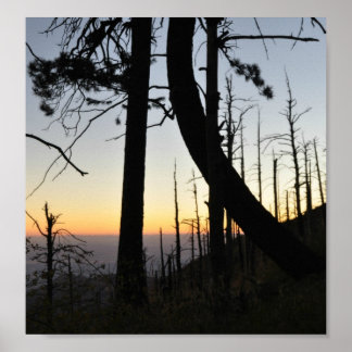 Poster Silhouette Sundown