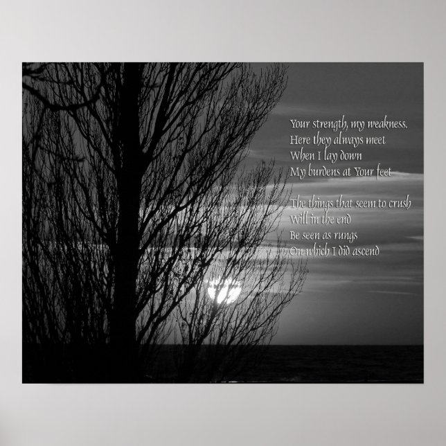 Póster Silhouette Winter Tree Inspiration (Frente)