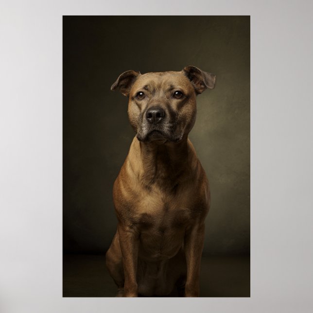 Poster Silhueta de Cachorro Elegante (Frente)